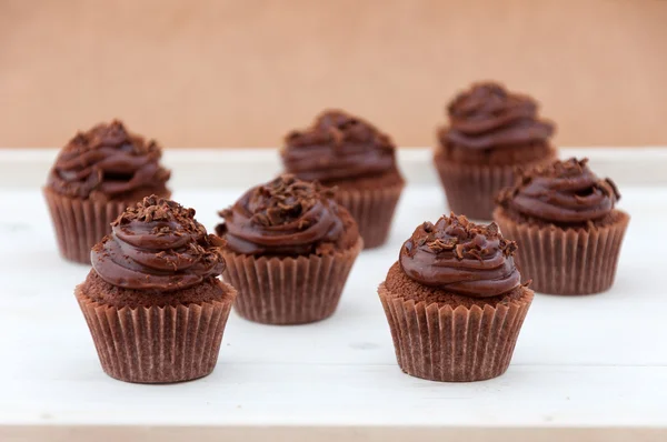 Double chocolate cupcakes — Stock Photo, Image
