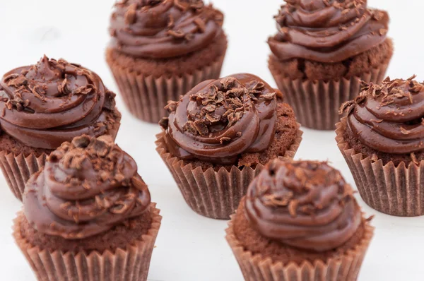 Mini chocolate cupcakes — Stock Photo, Image