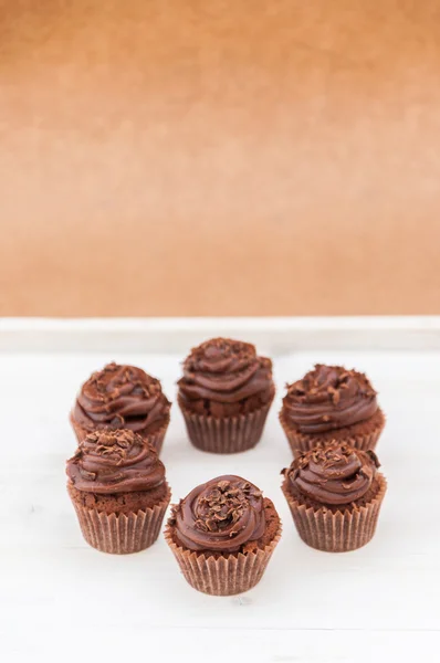 Mini chocolate cupcakes — Stock Photo, Image