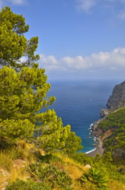 Coll baix. Cap de formentor. Mayorka