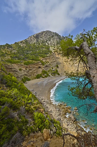 Coll baix. Cap de formentor. Μαγιόρκα — Φωτογραφία Αρχείου