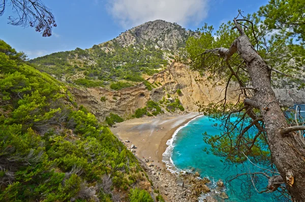 Coll Baix. Cap de Formentor. Mallorca — Stock Fotó