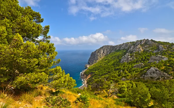 Coll Baix. Cap de Formentor. Mallorca — Stock Fotó