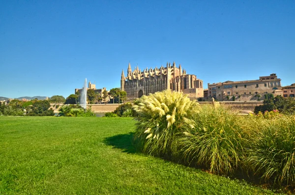 Katedra santa maria Palma de Mallorca, Majorka. La seu — Zdjęcie stockowe