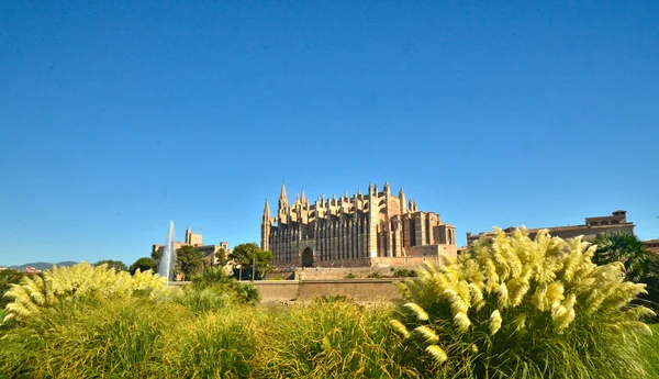 The Cathedral of Santa Maria of Palma, Majorca. La Seu — Stock Photo, Image