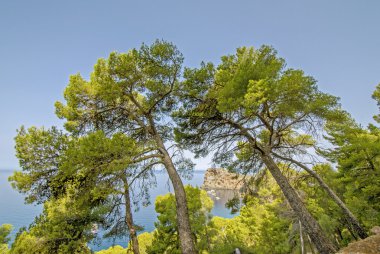 sa foradada. Tramuntana. Mayorka