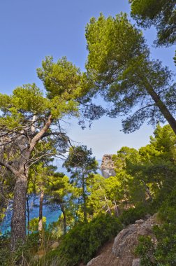 sa foradada. Tramuntana. Mayorka