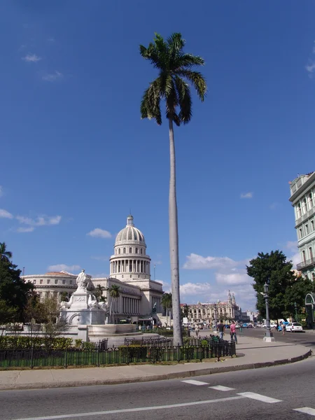 国会議事堂。la habana。キューバ — ストック写真