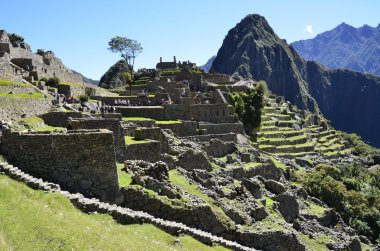 machu Picchu tarihi sığınak. Peru