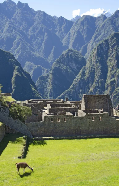 Santuario Histórico de Machu Picchu. Perú — Foto de Stock