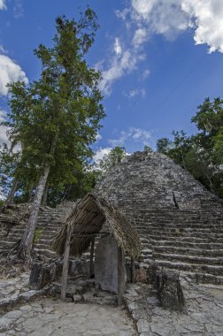 coba. Meksika