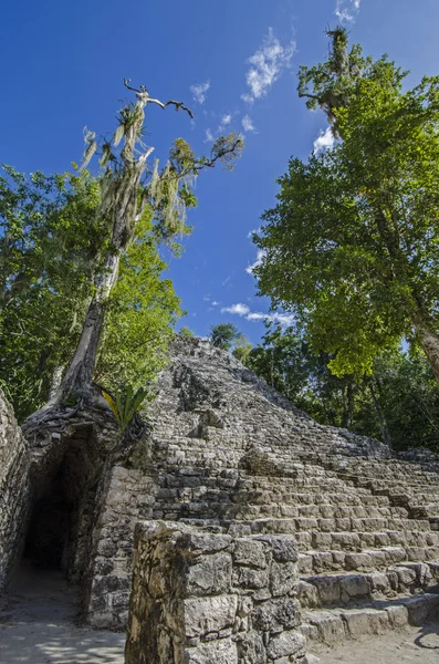 Coba. Mexiko — Stock fotografie