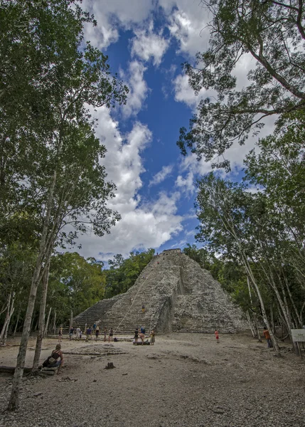 Coba. Mexiko — Stock fotografie