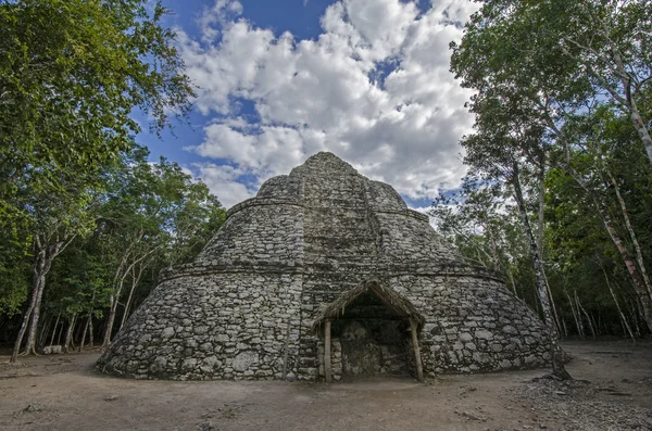 Coba. Meksika - Stok İmaj