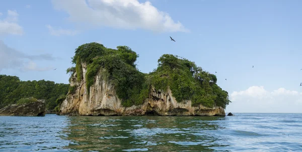 Dominikanische Republik. samana — Stockfoto