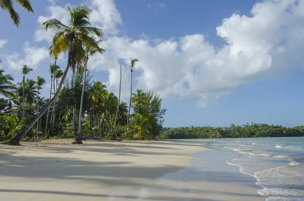 República Dominicana. Samana. — Fotografia de Stock