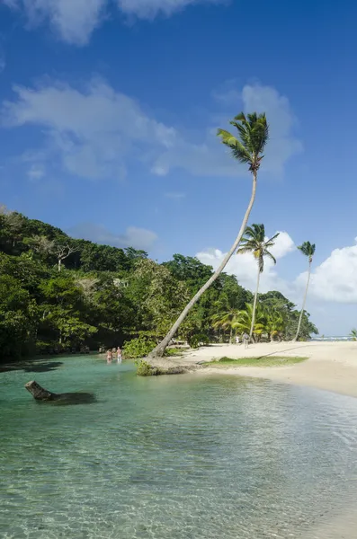 多米尼加共和国。蓬塔卡纳 图库图片