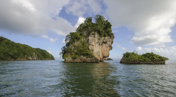 República Dominicana. Samana. Fotos De Bancos De Imagens Sem Royalties