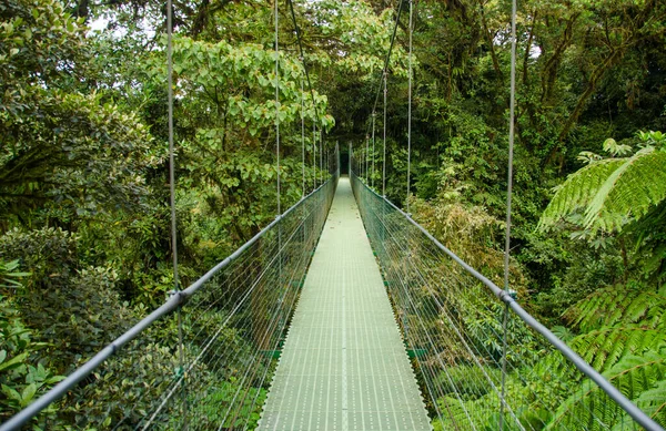 Μοντεβέρντε Κρεμαστά Γέφυρες Κόστα Ρίκα — Φωτογραφία Αρχείου