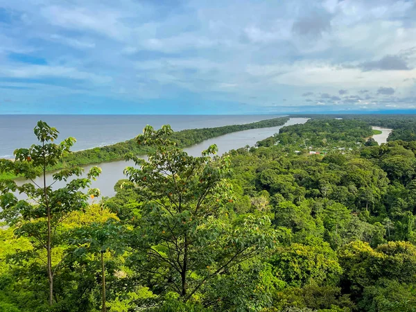 Parque Nacional Tortuguero Costa Rica —  Fotos de Stock