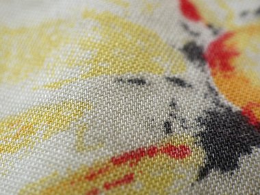 Bahar arka plan - detay, makro.