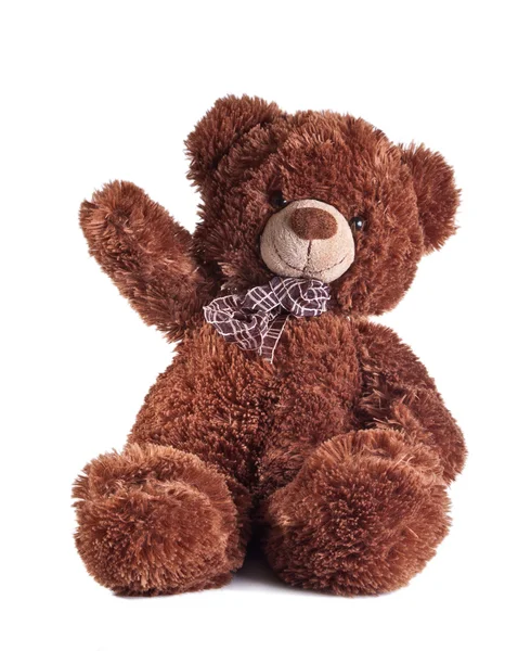 Red teddy bear on a white background — Stock Photo, Image