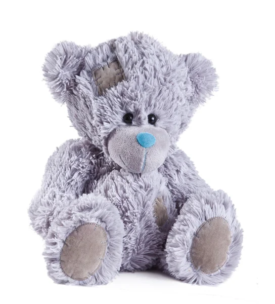 Blue teddy bear on a white background — Stock Photo, Image