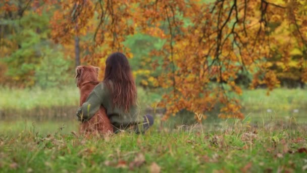 Lány kutyával a parkban ősszel. Szabadtéri tevékenységek egy kisállat, séta, játék. Új-Skócia Duck retriever — Stock videók