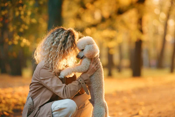 Meisje en twee honden in een herfstpark bij zonsondergang. Lopen met huisdier. Speelgoed en kleine poedel — Stockfoto