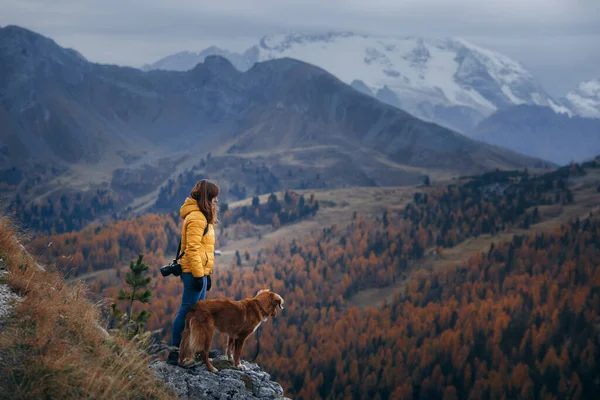 Junge Frau mit Hund in den Bergen. Reisen, Wandern mit einem Haustier. Nova Scotia Retriever mit einem Mädchen. — Stockfoto