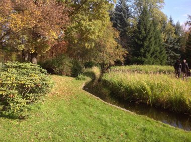 Главный ботанический сад г. Москва