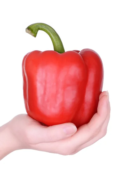 Hand som håller röd paprika — Stockfoto