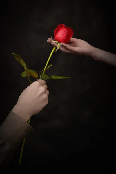 Man's hand giving a rose — Stock Photo, Image