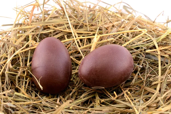 Chocolate Easter Egg — Stock Photo, Image