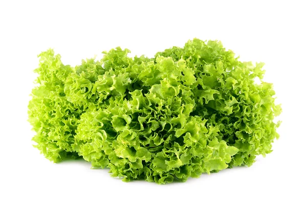 Beyaz zemin üzerine marul salatası — Stok fotoğraf