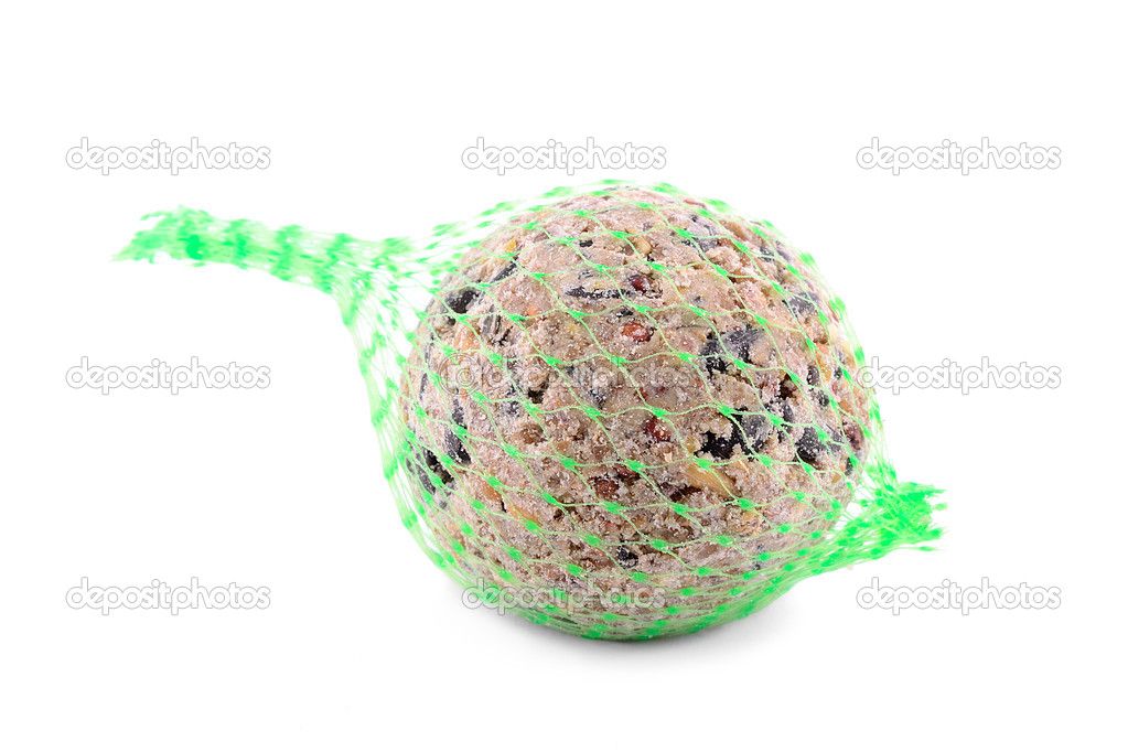 Titmouse fat ball