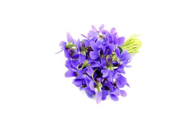 Fialová kytice izolovaných na bílém — Stock fotografie