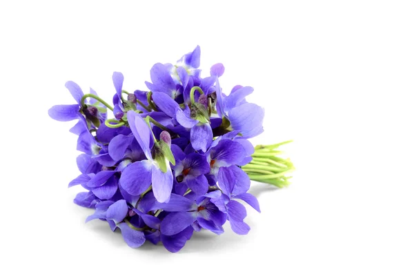 Violet bouquet isolated on white — Stock Photo, Image