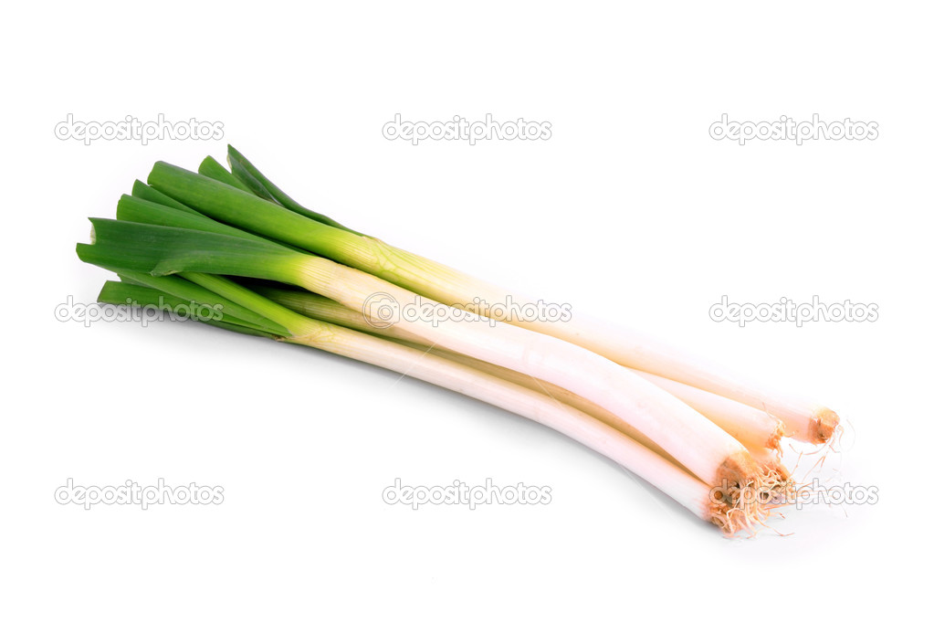 Spring onion isolated (scallions)