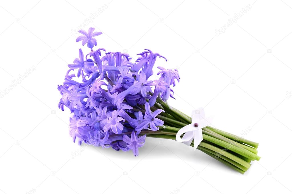 Hyacinth bouquet