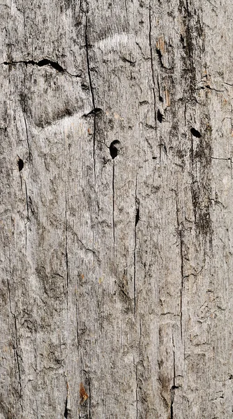 Dřevěná konstrukce z dubu — Stock fotografie