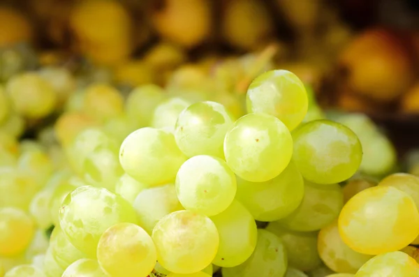 Uvas de vinho branco — Fotografia de Stock