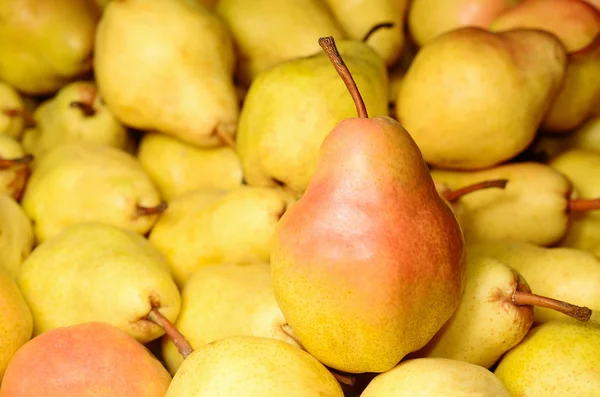 Mogna päron på marknaden — Stockfoto
