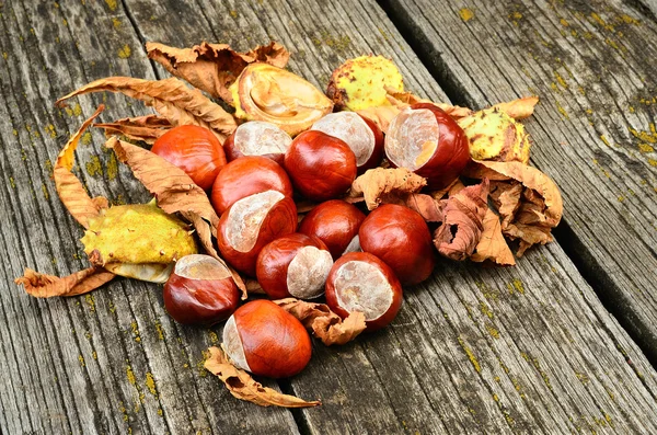 Castanha de cavalo no fundo de madeira — Fotografia de Stock