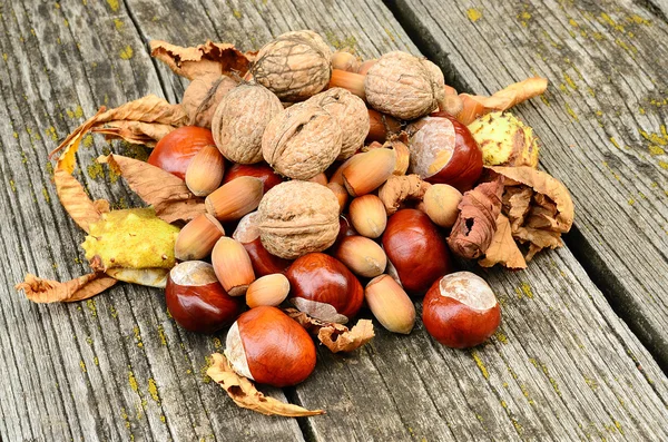 Châtaignes, noix et noisettes sur fond bois — Photo