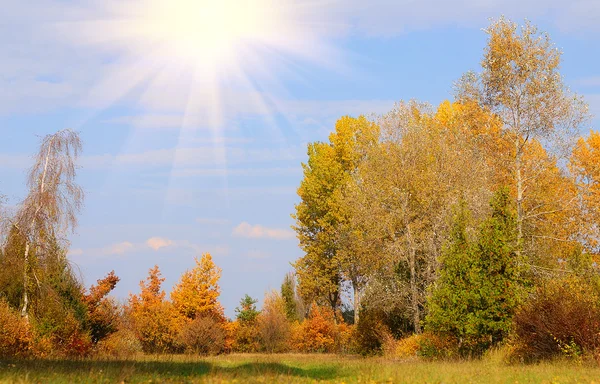 Höstens scen med sol — Stockfoto