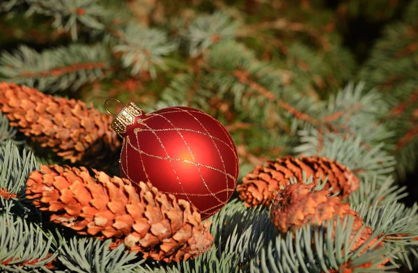 Jul sammansättning med dekoration — Stockfoto