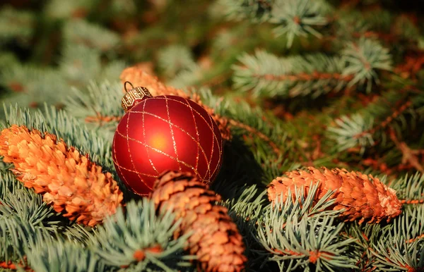 Jul sammansättning med dekoration — Stockfoto
