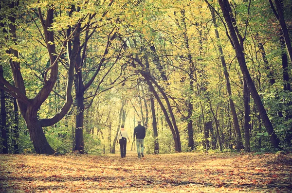 Vintage foto da estrada da floresta — Fotografia de Stock