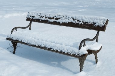 parkta karlı tezgah